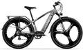 Rower cysum – 48 V, 672 Wh, 29 cali, Czarny/Szary – oświetlenie LED, Speedy elektryczny górski, dla dorosłych, zasięg 100 km – moment obrotowy 75 Nm